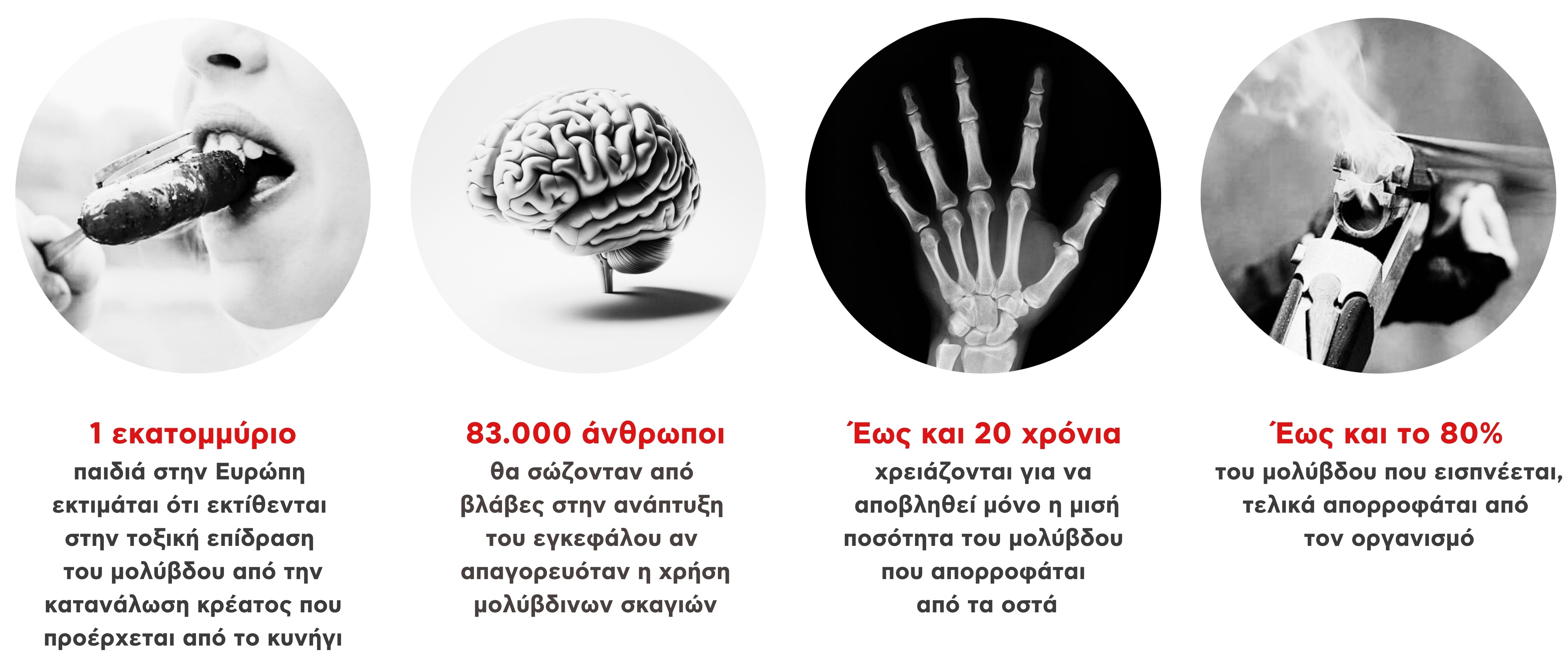 BanLeadNow key facts people