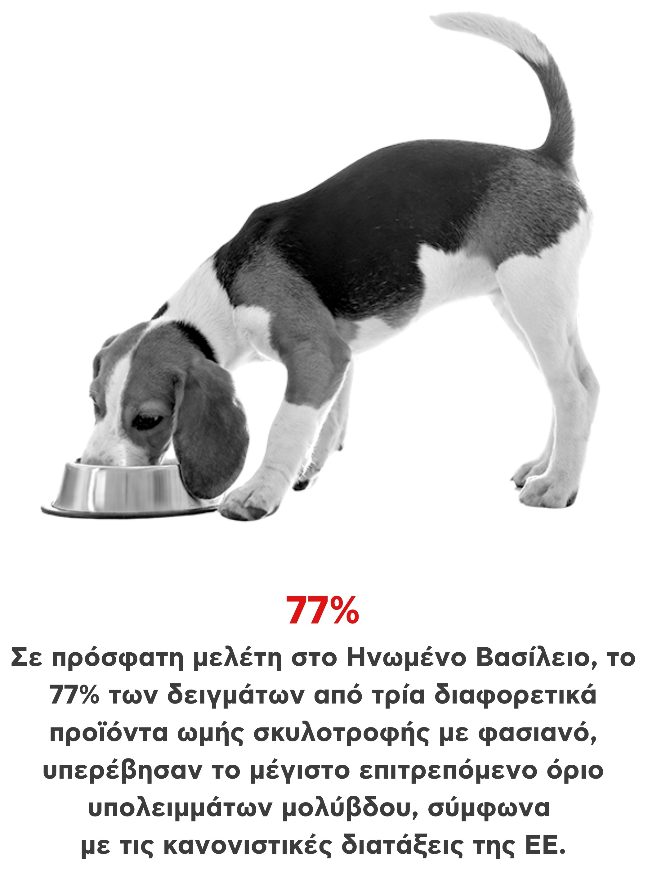 BanLeadNow key facts pets