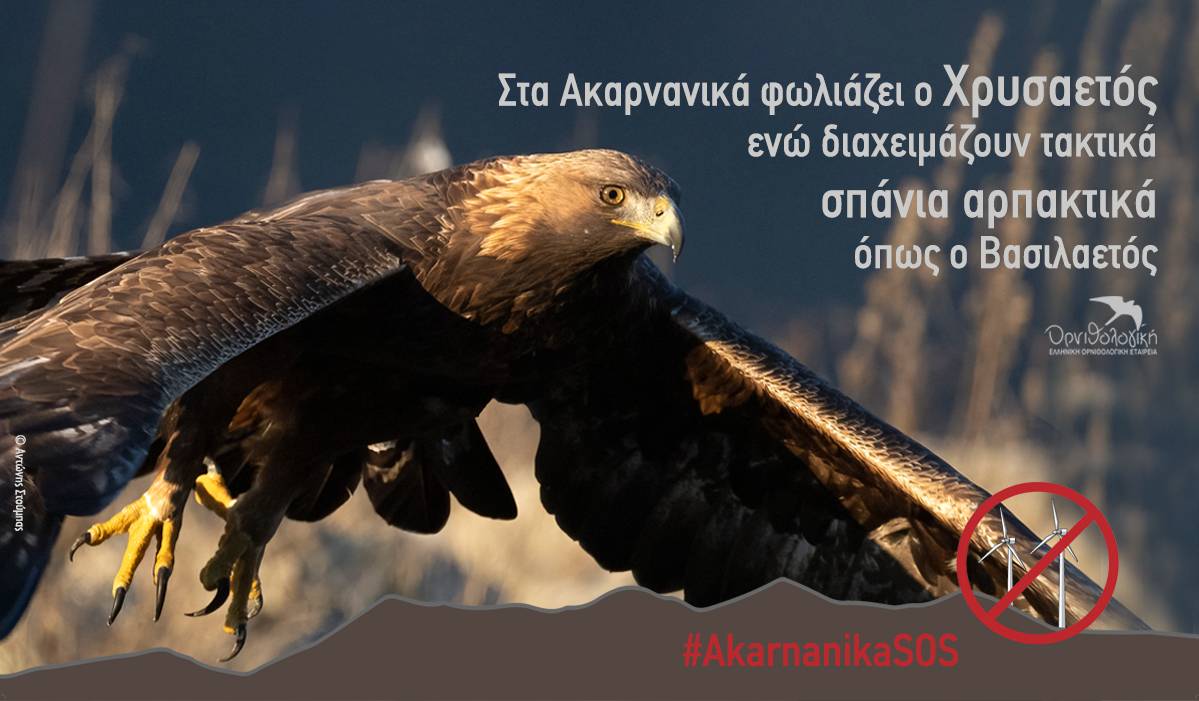 banner Χρυσαετός AkarnanikaSOS