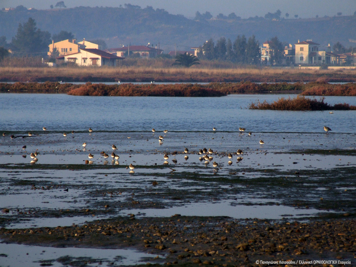 1 Oropos25Nov2007 P Latsoudis 111