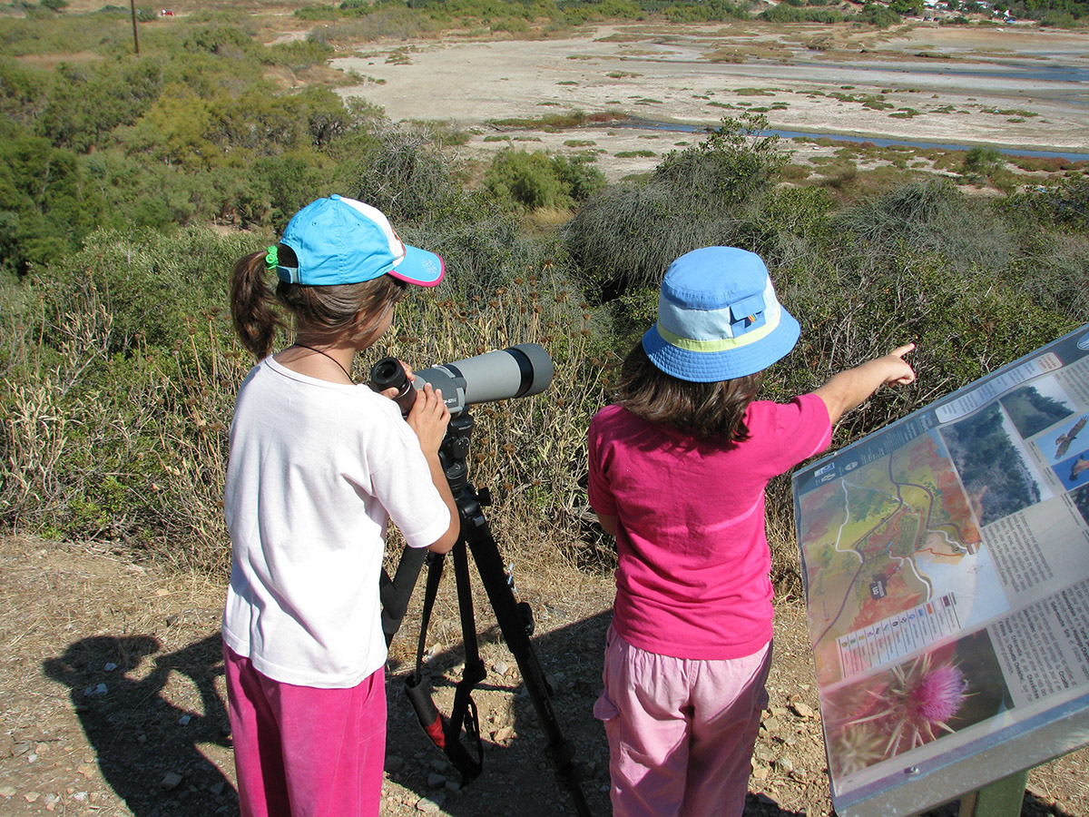 Eurobirdwatch Vravrona ORNITHOLOGIKI DanaePortolou