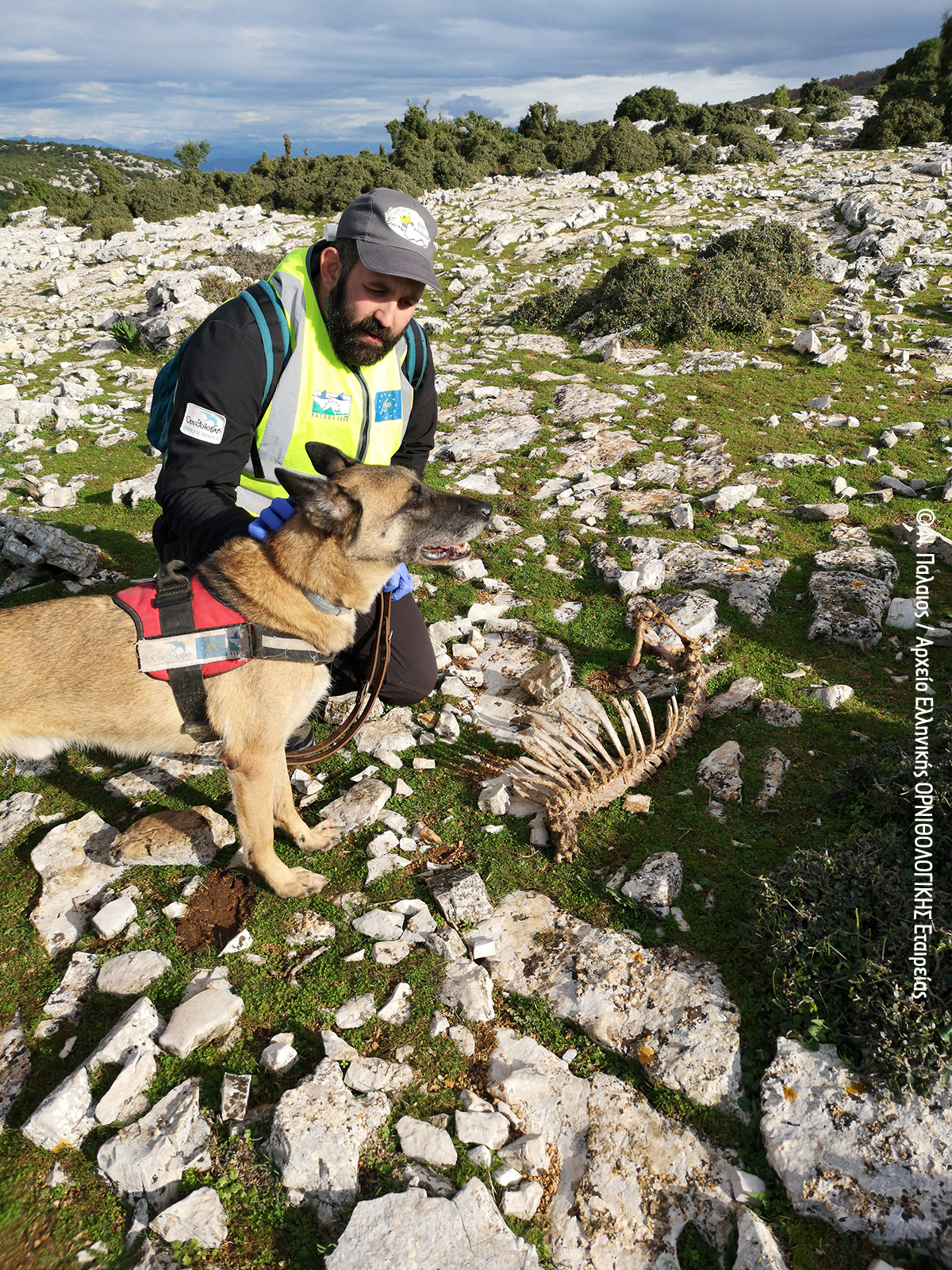 20211124 HOS AntpoisonDogUnit N.Παλαιός 2