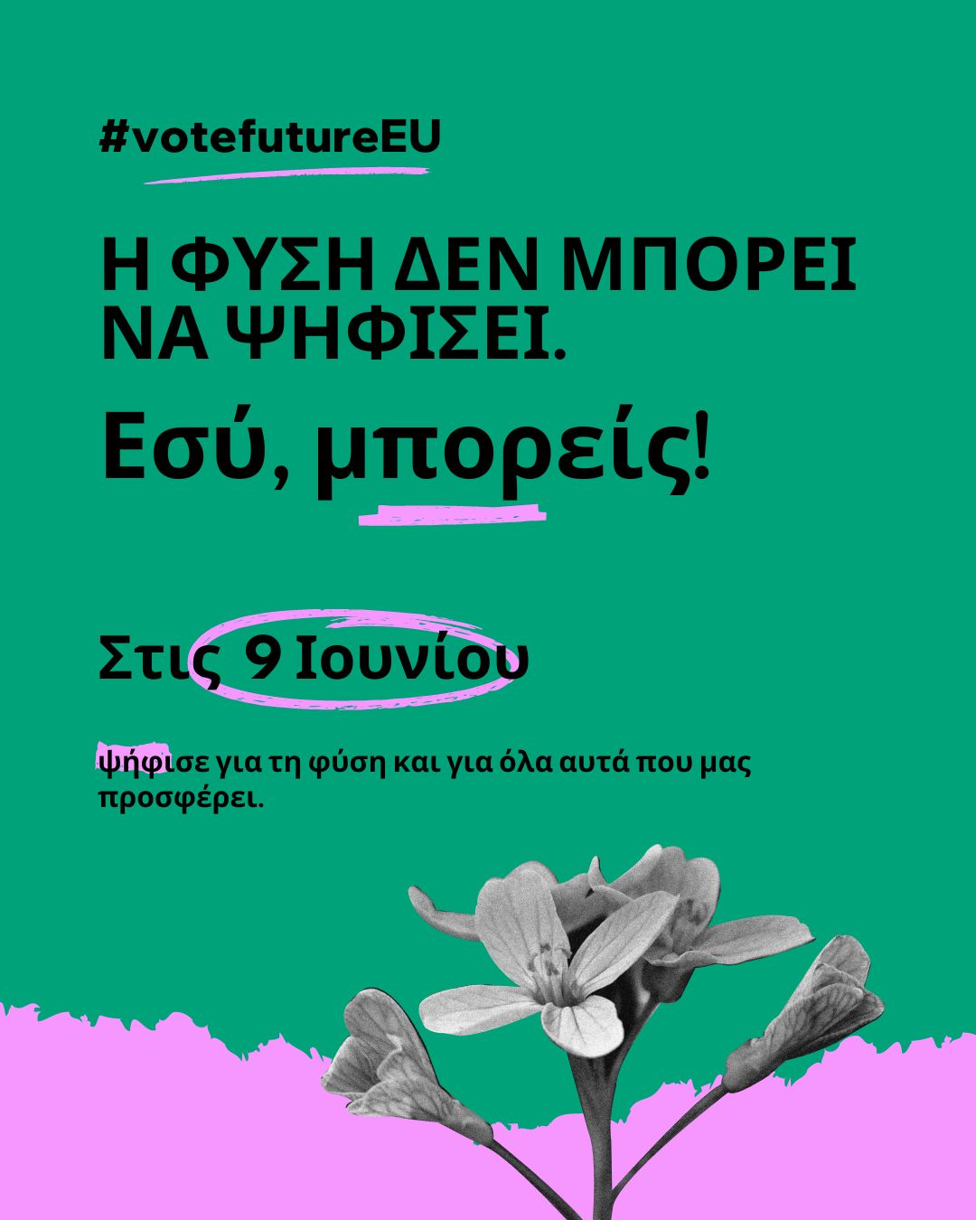 EU elections Birds cant vote banner