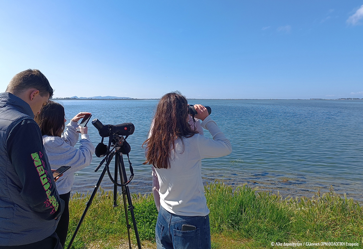 HOS Vlogging field Mesolonghi Pelican L Derouggeri 4