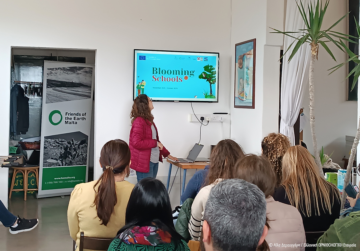 Malta Teachers Training Blooming Schools LDeroungeri