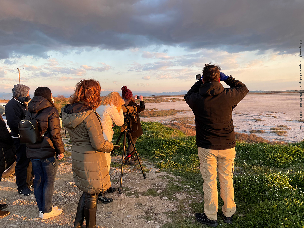 Seminario Mesologgi Pelican Eugenia Panoriou HOS