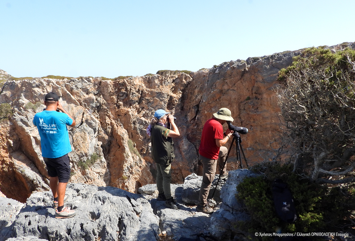 Training Antikythera NECCA ChristosBarboutis ORNITHOLOGIKI