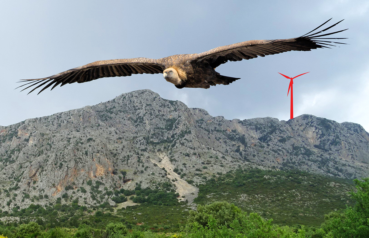 Ετοιμάζουν την τελική επίθεση στους γύπες και τα Ακαρνανικά!