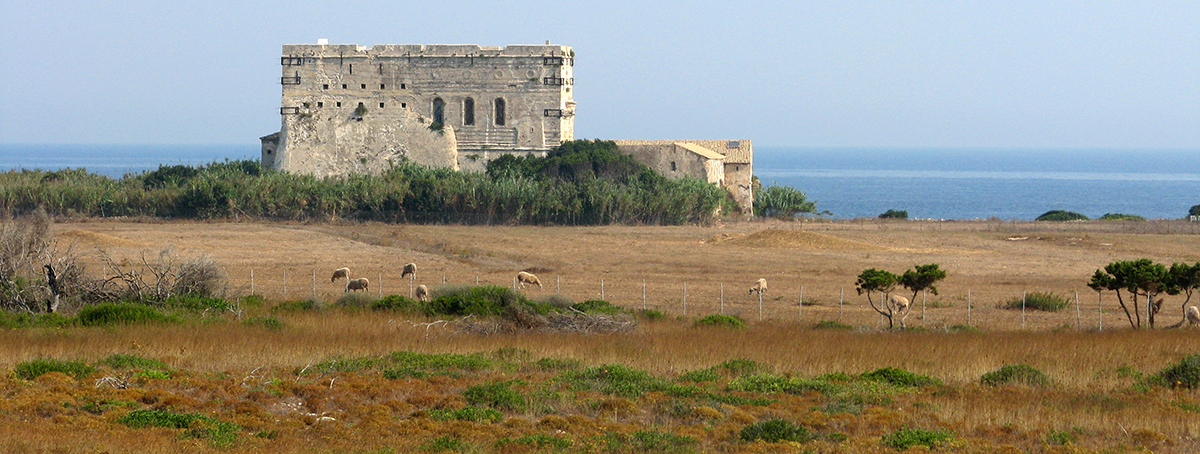 Strofadia Iionian Islands HOS RoulaTrigou